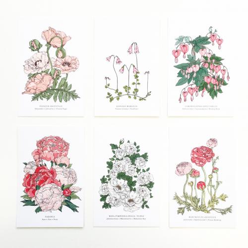 Botanical postcard set, 14 pcs