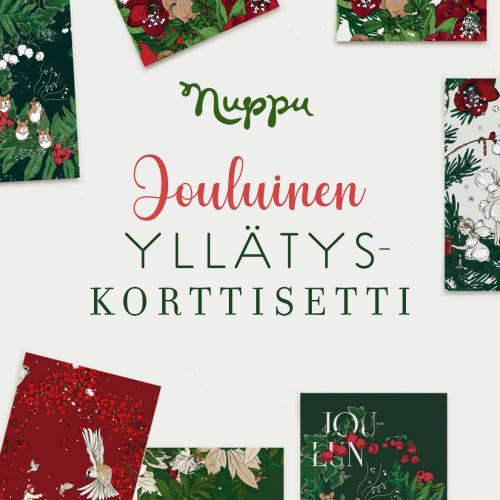 Yllätyskorttisetti, 10 kpl joulu