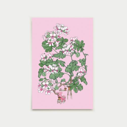 Frederikan huone postcard, pink