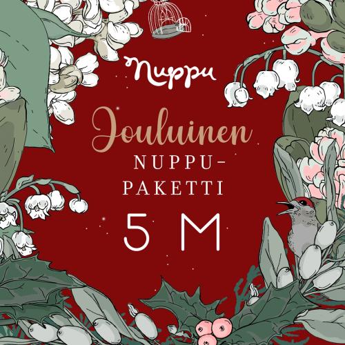 Nuppu package for Christmas, 5 m