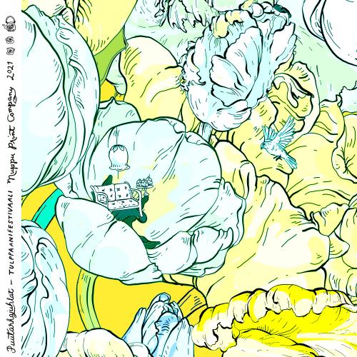 Tulppaanifestivaali luomutrikoo, superkeltainen