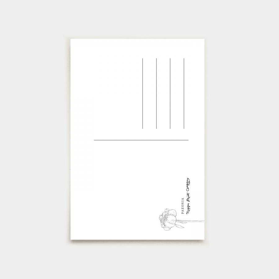 Paeonia postikortti, botanical