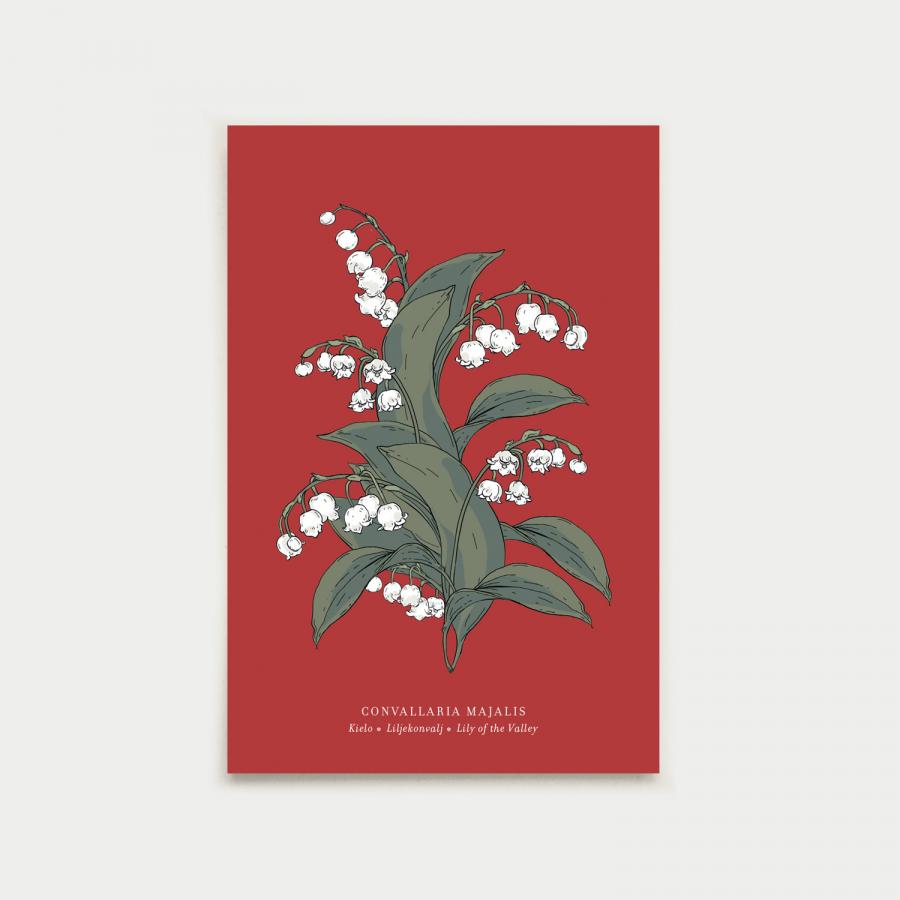 Sylvian joululaulu postikorttisetti, botanical