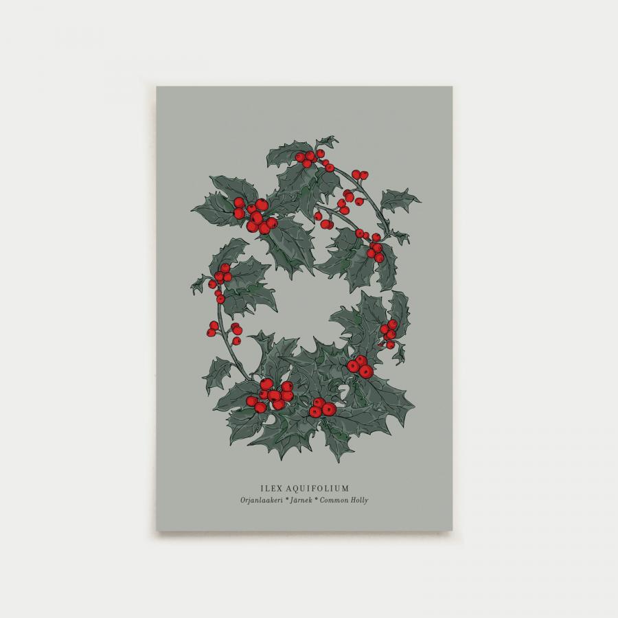 Sylvian joululaulu postikorttisetti, botanical