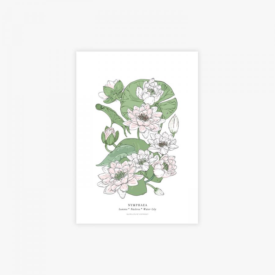 Nymphaea botanical printti, A4