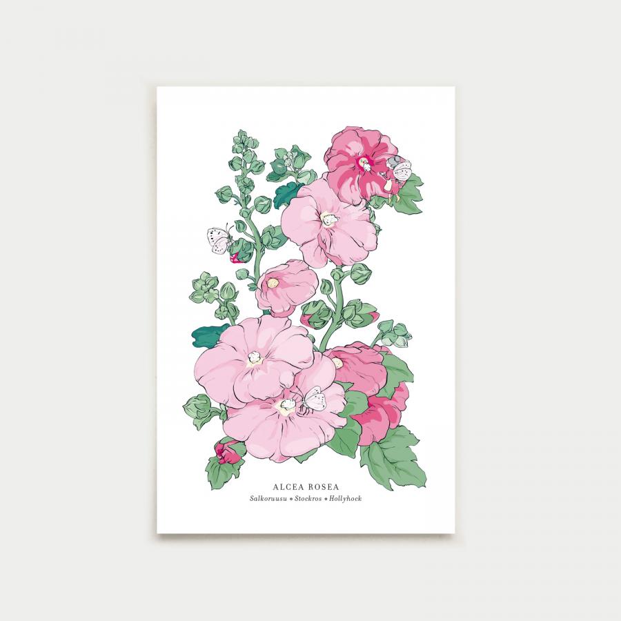 Alcea postcard, botanical