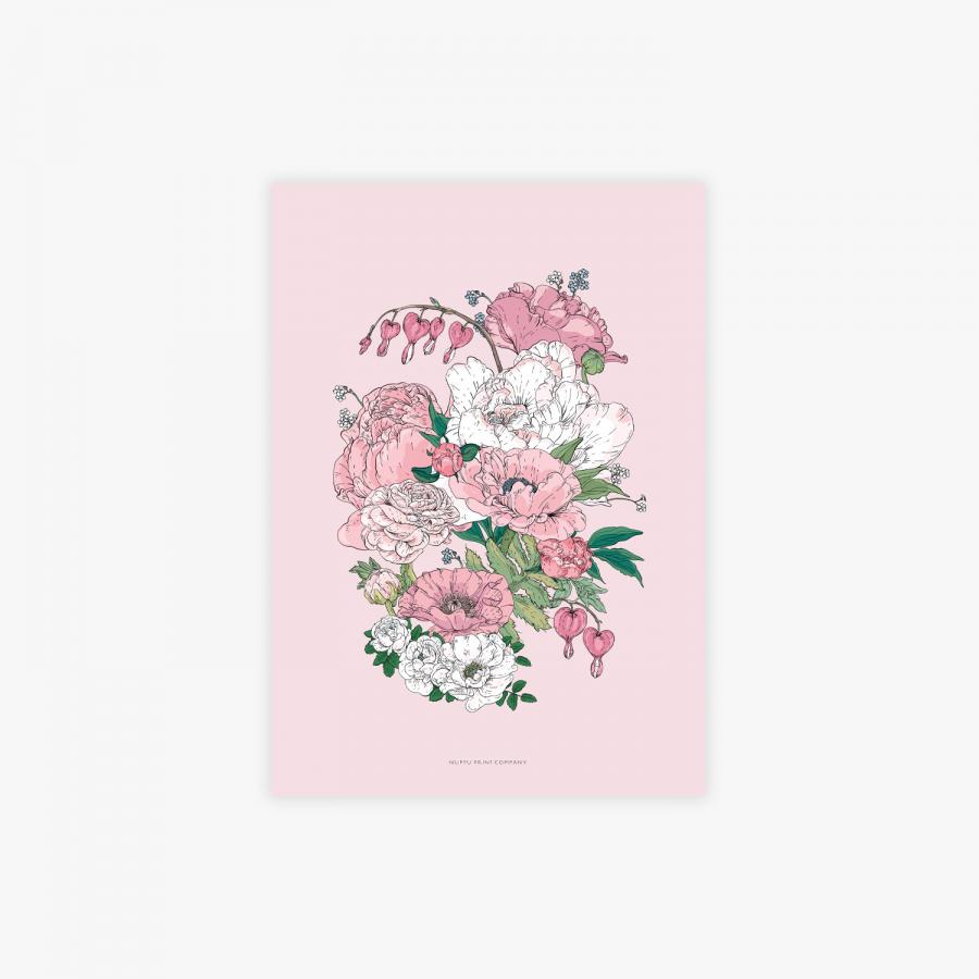 Värikäs printtisetti A4 5 kpl