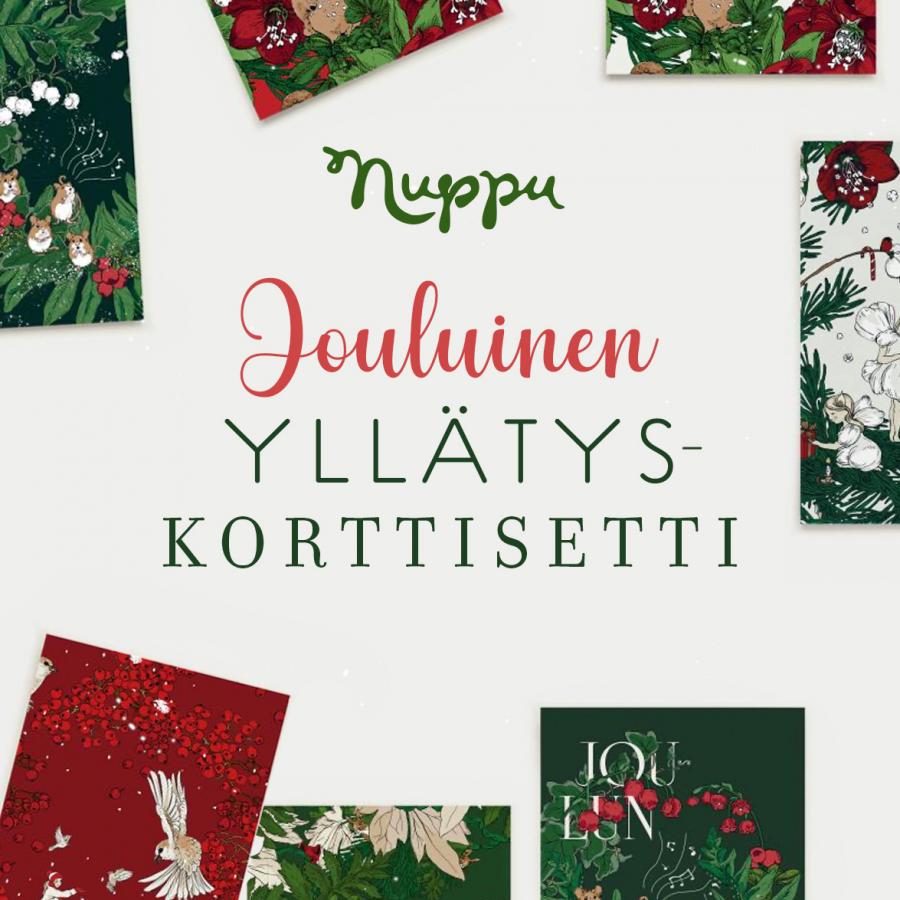 Yllätyskorttisetti, 15 kpl joulu