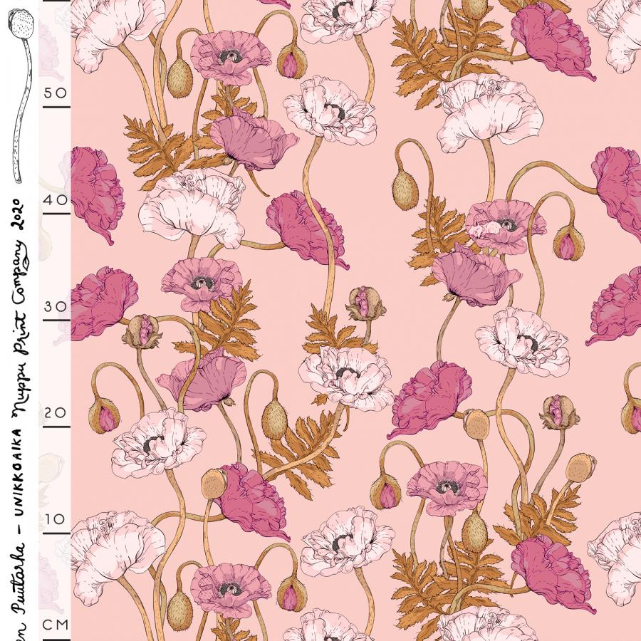 Unikkoaika softshell, aamurusko